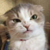 theejynx
